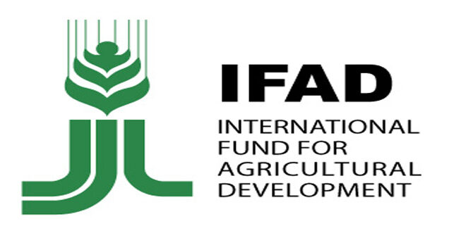International-Fund-for-Agricultural-Development-IFAD.jpg