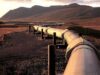 2001-4971-le-pipeline-tchad-cameroun-a-genere-200-milliards-de-fcfa-au-tresor-public-camerounais-en-10-ans_L-1.jpg