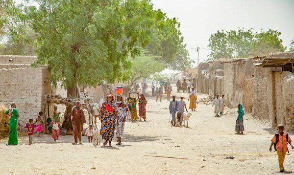PNUD-Chad-2019_Lake_Chad_76-600×400.jpg