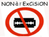 Excision.png