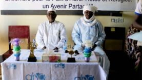 L&rsquo;ONG AHA lance une campagne pour la paix à Adré