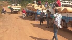 l&rsquo;opération « Verrou 322 » lutte contre la fuite des produits agricoles de rente