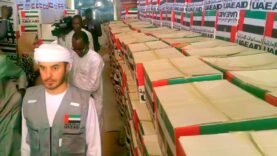 Les Émirats Arabes Unis offrent un don de 1 000 tonnes de vivres et non-vivres au Tchad