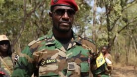 Armel Sayo, ancien ministre centrafricain, arrêté au Cameroun