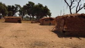 L&rsquo;éducation en péril dans les villages du Mayo-Kebbi Ouest