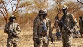Violents affrontements entre forces de l&rsquo;ordre et braconniers dans la réserve de Bahr Salamat