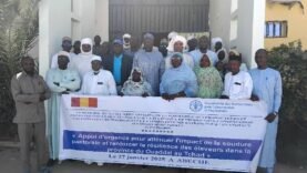 Le Tchad forme ses éleveurs aux techniques modernes de production fourragère