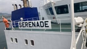 Le navire Serenade quitte les côtes camerounaises après avoir livré son précieux chargement