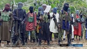 L&rsquo;insurrection islamiste continue de faire des ravages
