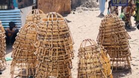 Le kabbassa, un trésor du patrimoine culturel tchadien