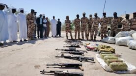 Le Kanem frappe fort contre la criminalité : Des armes saisies et des produits illicites détruits