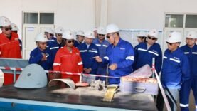 Enlèvement de ressortissants chinois au Niger