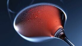 les femmes et l’alcool, un fléau grandissant dans la société tchadienne