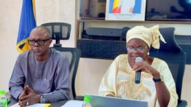 vers une exploitation sécurisée des arachides et du sésame tchadien