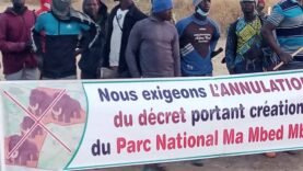 Le parc national Ma Mbed Mbed au cœur d&rsquo;une vive contestation, un axe vital reliant le Cameroun au Tchad est bloqué