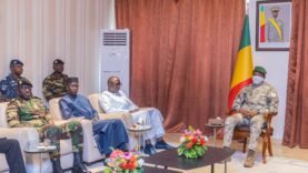 Le président malien de transition a reçu le ministre sénégalais des forces armées