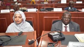L&rsquo;Assemblée nationale du Tchad se réunit en séance plénière pour renforcer son fonctionnement