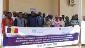 au Moyen Chari, un atelier de vulgarisation de la stratégie nationale d&rsquo;accès aux financements agricoles