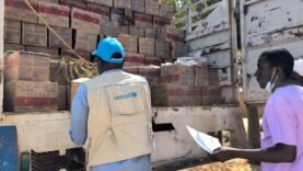 Farchana : l&rsquo;UNICEF apporte une aide vitale aux enfants malnutris
