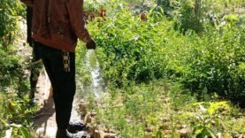 Les jardiniers de Ndjari crient famine : le manque d&rsquo;eau menace la production maraîchère