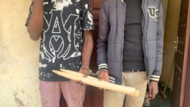 deux personnes arrêtées avec des défenses d&rsquo;éléphants à Douala
