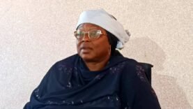 une séance de travail sur la revue annuelle des activités sanitaires de N’Djamena