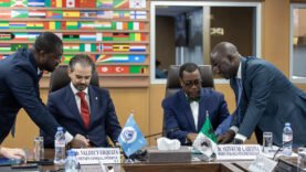 La BAD s’associe à Interpol pour lutter contre la criminalité financière en Afrique