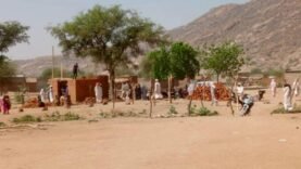 Guéra : Un nouveau marché pour dynamiser l&rsquo;économie locale à Mongo