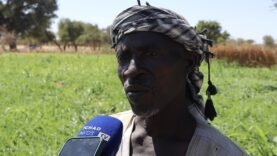 Ouaddaï : Augmentation de la Production Maraîchère à Farchana grâce au Soutien de l&rsquo;Union Européenne – Actualités Essentielles