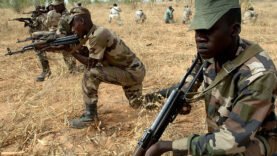Sécurité Régionale : Impact de l&rsquo;Exclusion du Niger dans la Stratégie Anti-Jihadiste du Bassin du Lac Tchad : Un Décryptage Essentiel Aujourd&rsquo;hui