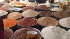 doit-on compter sur l’extérieur pour résoudre le problème de famine ?
