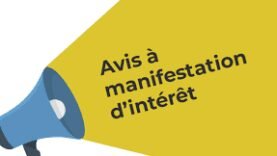 Avis (AMI n°002) portant sur le contrôle et le suivi de travaux de construction des marchés de bétail à Nokou (SD3C)