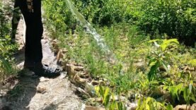 environnement, la gestion du jardinage est un défi de taille
