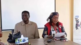 la Croix-Rouge du Tchad mène le combat contre la violence basée sur le genre