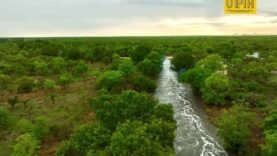 Découvrez le Tchad en Mars : Une Aventure Authentique au Cœur de la Saison Chaude – Tout ce qu&rsquo;il faut savoir maintenant !