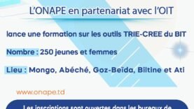 Lancement d&rsquo;un Programme Innovant pour Dynamiser l&rsquo;Entrepreneuriat des Jeunes au Tchad : Découvrez les Clés du Succès Maintenant !