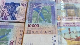 Dépasser le FCFA : Stratégies Innovantes pour Renouveler la Coopération Économique avec la France en 2023