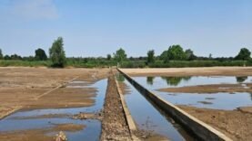 L&rsquo;UE et le HCR révolutionnent l’agriculture à Farchana : découvrez les nouveaux seuils d&rsquo;épandage pour une production durable !