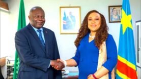 Économie Verte en Afrique : Un Futur Durable pour le Tchad et le Congo – Découvrez les Initiatives Clés!