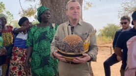 Révolution Agricole : L&rsquo;Ambassade de France Boost l&rsquo;Agrobusiness au Tchad pour un Avenir Durable