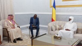 Rencontre historique : le vice-ministre saoudien des Affaires étrangères face au chef de l&rsquo;Etat – Découvrez les enjeux pour l&rsquo;avenir!