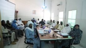 « Révélations Exclusives sur le Conseil d’Administration de la Centrale Pharmaceutique d’Achats (CPA) : Les Innovations Stratégiques de Dr Ayoub Moussa Abderaman »