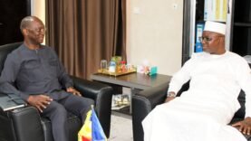 Investissement de 120 millions de dollars pour électrifier 200 villes au Tchad : Les enjeux et opportunités à découvrir !