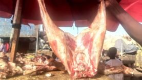 Inflation et Pouvoir d&rsquo;Achat : Les Musulmans Se Rendent Aux Alternatives aux Moutons pour l&rsquo;Aïd el-Fitr – Ce Que Vous Devez Savoir !