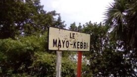 Mayo-Kebbi Est : Tragédie à Koumi – Un Jeune Conducteur de Charrette Perd la Vie : Les Détails Essentiels à Connaître