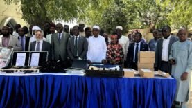 Tchad : Révolution Énergétique en Cours avec 54 400 Nouveaux Compteurs Intelligents pour la SNE – Ce que Cela Change pour Vous Aujourd&rsquo;hui