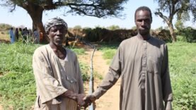 Culture maraîchère à Farchana : Synergie entre réfugiés et communautés hôtes pour un avenir durable : Découvrez les enjeux actuels