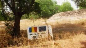 Logone Oriental : Violents Incidents à Bebo et Bouandja – Bilan : Un Mort, 8 Blessés, et Enlèvement de Bœufs d&rsquo;Attelage – Découvrez les Détails Aujourd&rsquo;hui