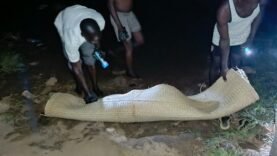 Découverte choquante : Un corps sans vie retrouvé dans le fleuve Logone à Moundou – Détails essentiels révélés aujourd&rsquo;hui
