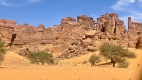 Offre d&rsquo;Emploi : Opportunité Unique au Conseil Provincial de l’Ennedi Ouest – Postulez pour Devenir Secrétaire Général Aujourd&rsquo;hui